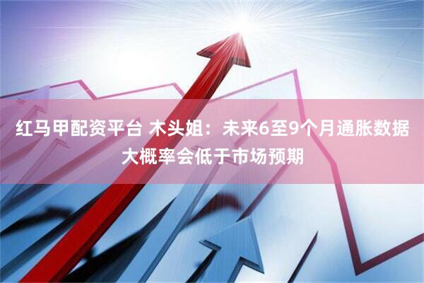 红马甲配资平台 木头姐：未来6至9个月通胀数据大概率会低于市场预期
